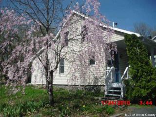 19 Clermont St, West Saugerties, NY 12477-1508