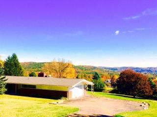 660 Walker Hill Rd, Waverly, NY 14892-9757