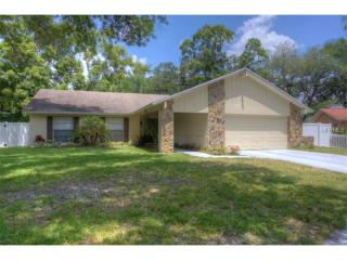 17734 Morninghigh Dr, Lutz, FL 33549-5519