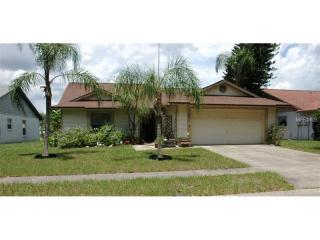 1641 Cobbler Dr, Lutz, FL 33559-3314