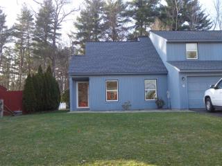 4 Thimbleberry Rd, Ballston Spa, NY 12020-4302