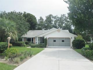 1101 Ben Hope Dr, Leesburg, FL 34788-7627