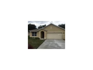 321 Ashton Woods Ln, Leesburg, FL 34748-6168