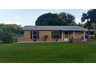 4230 Turner Rd, Mulberry, FL 33860-8793